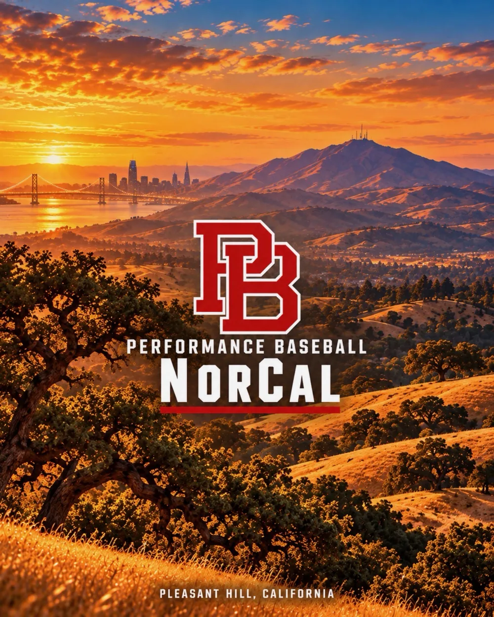 Performance Baseball NorCal, Pleasant Hill, California
